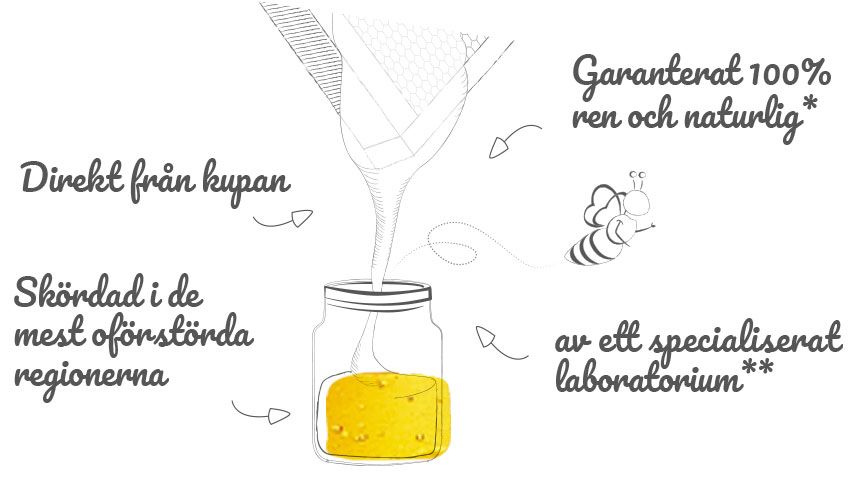 LDM_illus_pot_homepage_SE