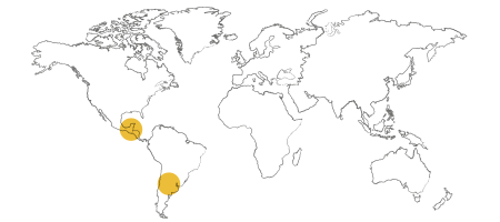 origines_fleurs_equitable fairtrade